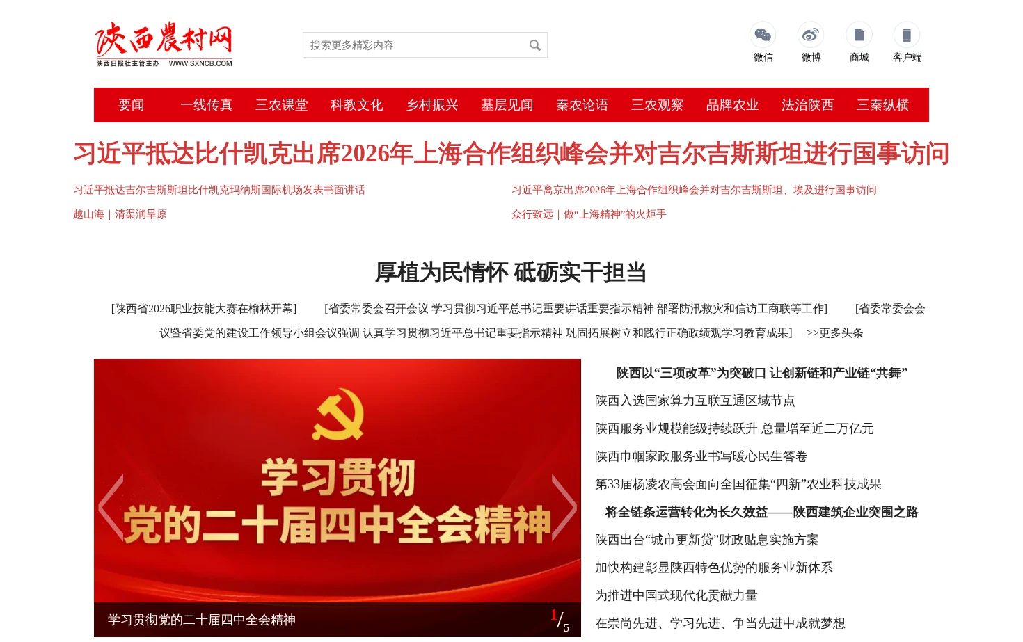 陕西农村网 页面快照